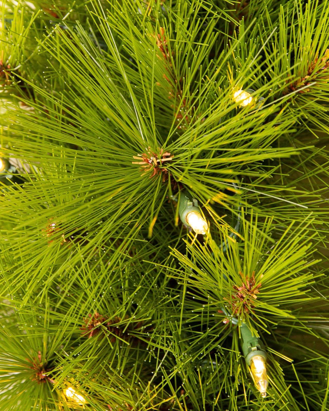 Árvore Monterey Pine Verde [ + LED DE BRINDE ]