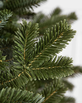 Árvore Fraser Fir Premium [ + LED DE BRINDE ]